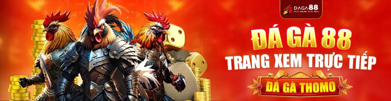Sân đá gà trực tuyến k9cc nhà cái